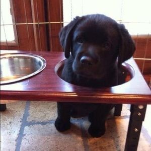 Meet your Posher, Julie